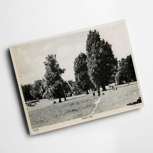 Print vintage surrey - a6,