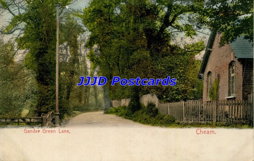 London cheam gander green - london,