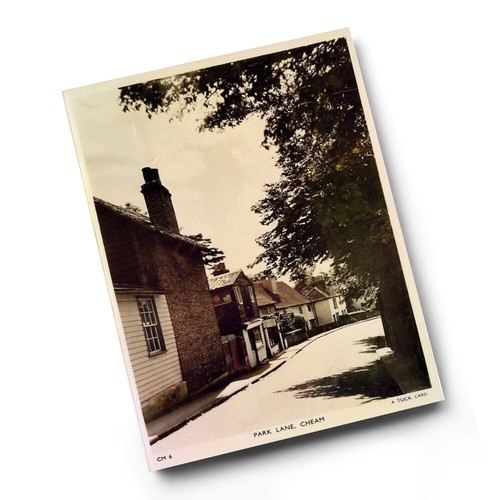 Print vintage surrey - vintage,